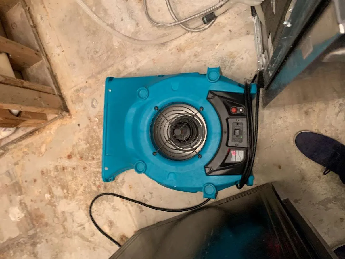 Air mover drying equipment for Mold Remediation & Removal in Rocky Mount